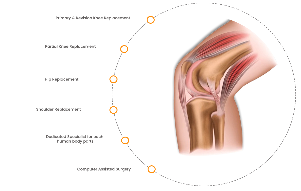 Orthopaedics